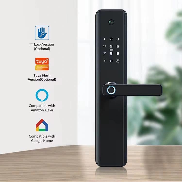 Smart Doorlock with Handle and Door view (F3) view 2