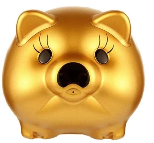 Piggy Bank Disguise Camera view 2