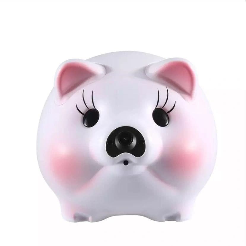 Piggy Bank Disguise Camera