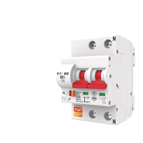 2P (100A) Smart Wi-Fi Circuit Breaker