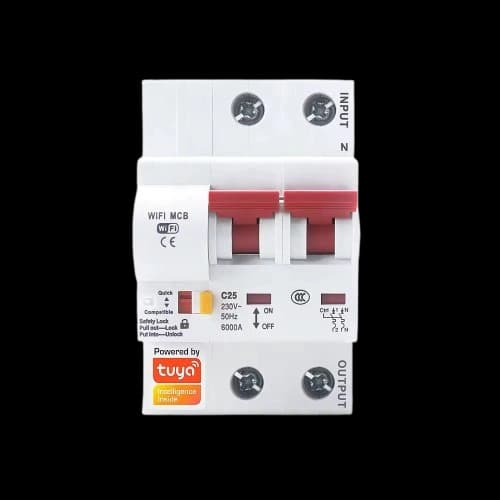 2P (16A) Smart Circuit Breaker