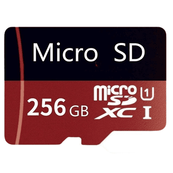 MICRO SD 256GB