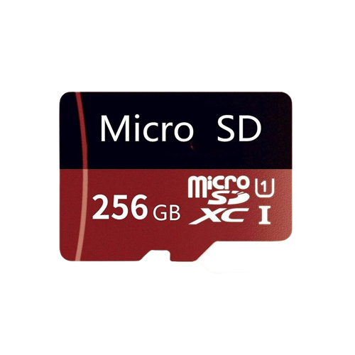  MICRO SD 256GB