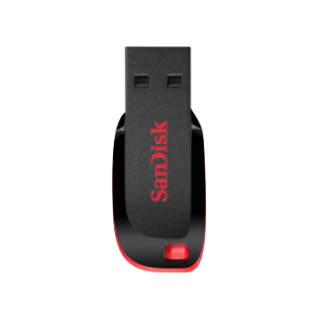 SanDisk Flash Drive 8GB